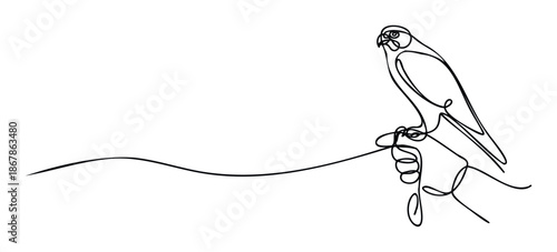 A captivating continuous line drawing of a majestic falcon gracefully perched on a handlers gloved hand, perfect for minimalist branding, naturethemed promotions, or sophisticated avian