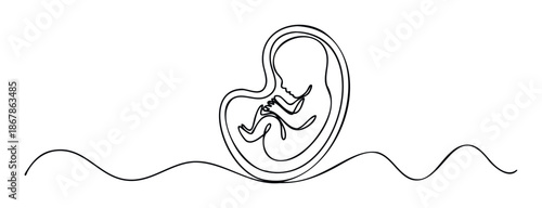 Minimalist continuous line drawing illustrating a human fetus within the womb, symbolizing prenatal development and the miracle of new life, perfect for medical and maternity content.
