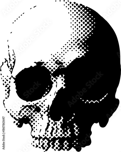 Black and white illustration of a human skull