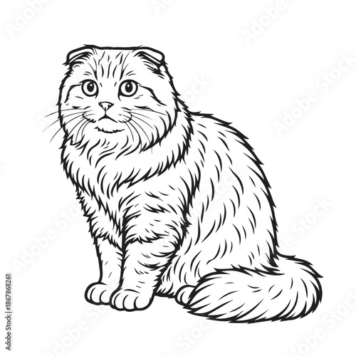 A detailed vector illustration of a Siberian cat, featuring thick fluffy fur, strong body posture, and expressive eyes, designed with clean lines to show elegance and natural beauty.