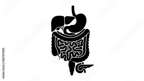 Human Digestive System Silhouette Icon Featuring Stomach Liver Small Large Intestines and Pancreas on White Background for Medical Healthcare Education Design