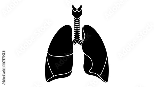 Black and White Human Lungs Icon Silhouette Illustration of the Respiratory System Anatomy Including Trachea and Larynx for Medical and Healthcare Education Art.
