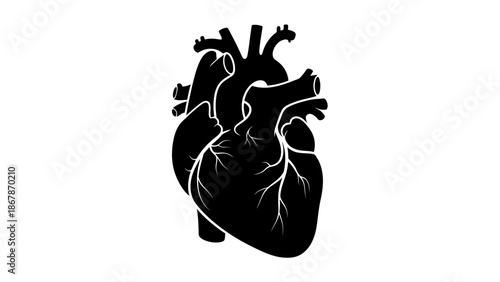 Anatomical Human Heart Silhouette Icon Isolated on White Background. Minimalist Black Vector Illustration of Cardiac Organ for Medical and Health Education Graphics.