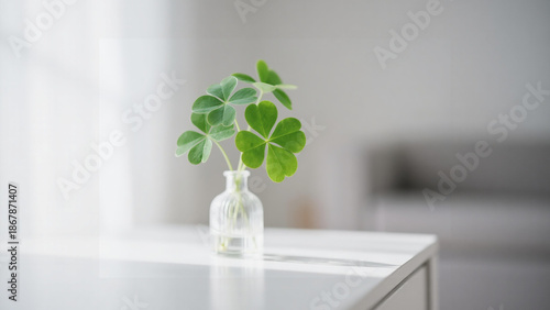 Fresh green clover leaves in a small glass vase on a white table, minimalist home decor.