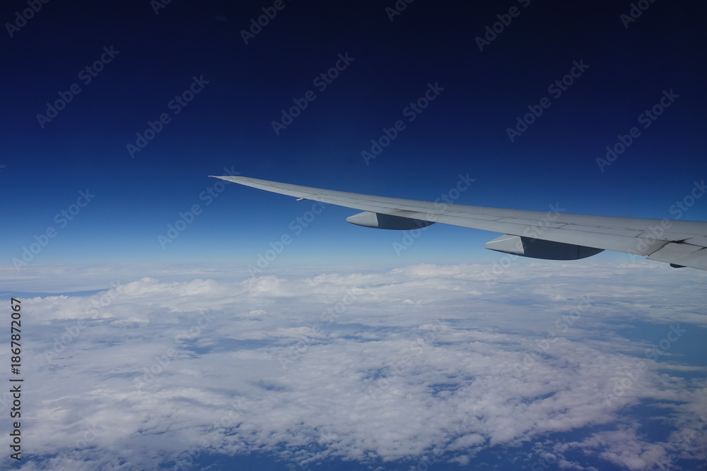 Fototapeta premium Wing.