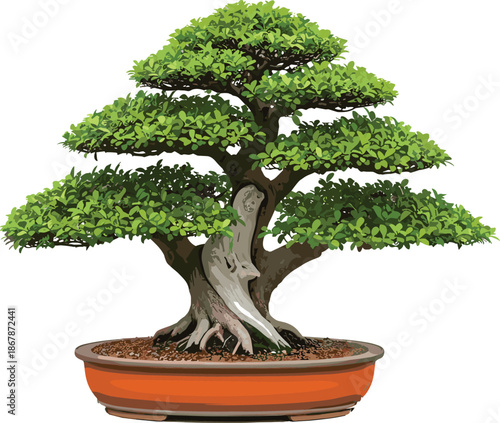 Bonsai tree in ceramic pot detailed vector illustration, traditional Japanese miniature plant art for gardening, zen, nature design projects