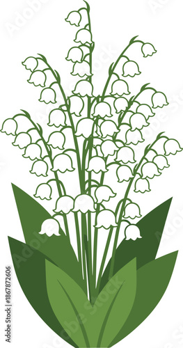 Lily of the valley vector illustration with white bell flowers and green leaves for spring floral, wedding, botanical design projects