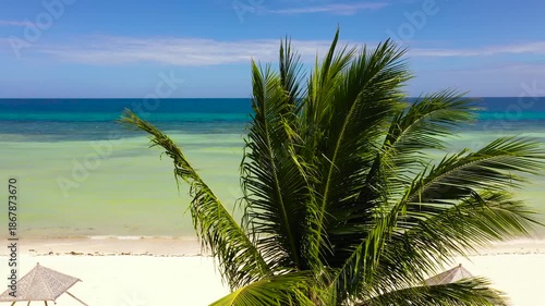 Wallpaper Mural Aerial seascape with beautiful beach. Bohol, Anda, Philippines. Summer and travel vacation concept. Torontodigital.ca