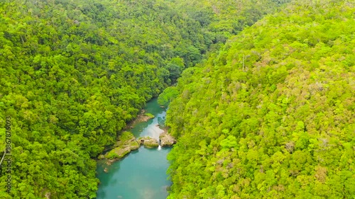 Wallpaper Mural River in the rainforest in a mountain canyon. Loboc River in the green jungle. Bohol, Philippines. Torontodigital.ca