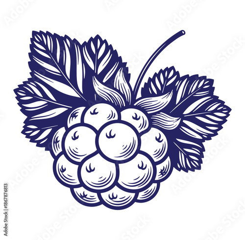 Detailed indigo ink illustration of a raspberry with leaves suitable for design elements
