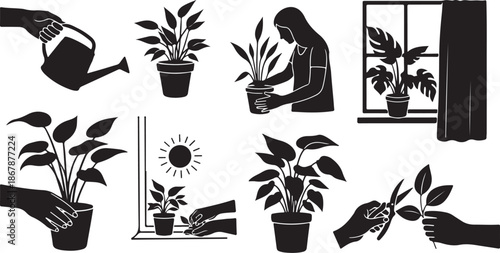 Plant Care and Silhouette Illustrations of Potted Plants