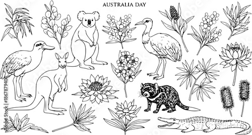 Australia Day vector illustration of native animals and flora in black and white line art style for Australia Day celebrations and tourism