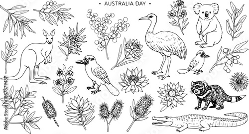 Australian Wildlife and Flora Icons Hand-Drawn Black  White Line Art Set. Kangaroo, Koala, Emu, Kookaburra, Crocodile, Wattle, Eucalyptus, Banksia, Bottle Brush Sketches for Australia Day