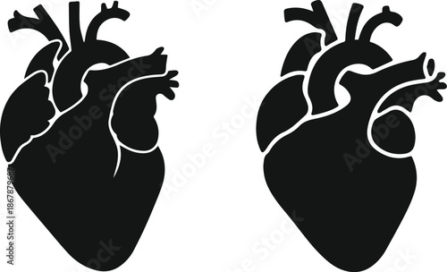human heart anatomy silhouette medical vector illustration