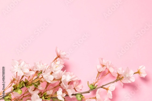 桜の背景(ピンク)