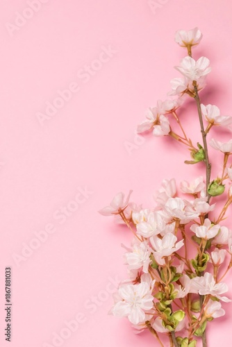 桜の背景(ピンク)
