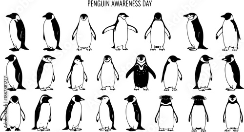 Black and White Hand-Drawn Penguin Illustrations Collection. Diverse wildlife line art set for nature education, animal awareness, and conservation designs. Cute arctic bird vector art.