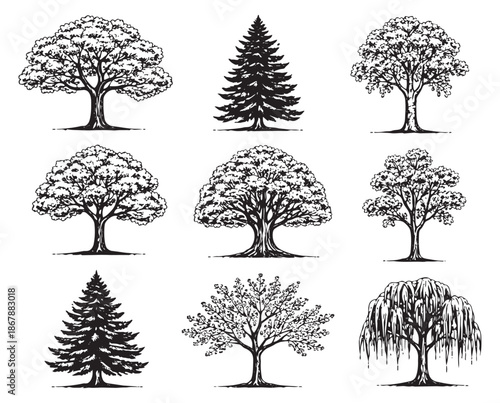 Hand drawn line art tree set featuring various deciduous and coniferous trees for nature and environmental designs