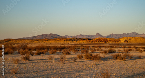Distant View Of The Chisos Mountains With Warm Morning Light