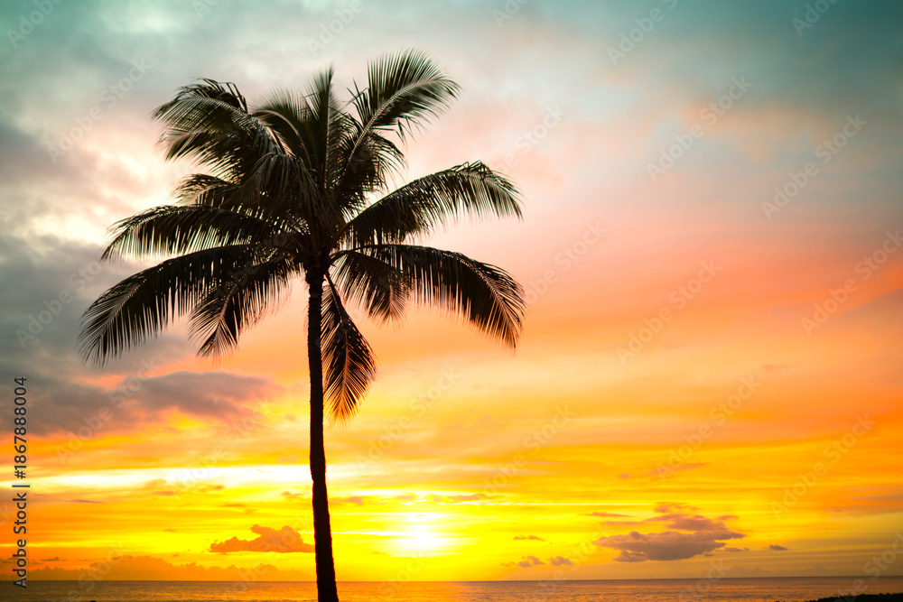 Fototapeta premium Palm tree silhouette on a background of tropical sunset 