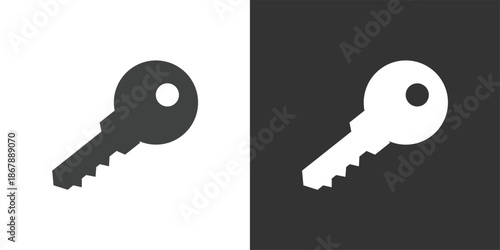 Security Key icon. Solid glyph series icon