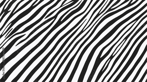 Close-up of a classic black and white zebra stripe pattern, showcasing the natural, irregular lines of animal fur and a striking visual contrast.