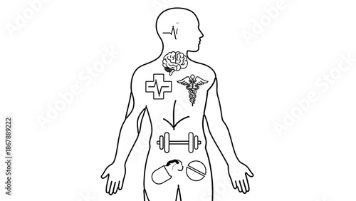 Vector illustration of a man showing human body anatomy through a detailed sketch style for sport and art featuring drawing elements of people including a boy woman and child
