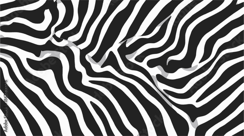 Close-up view of black and white zebra stripes creating a natural pattern.