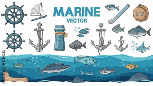 Collection of marine vector elements and sea creatures.
