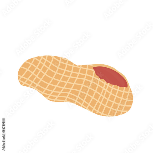 Illustration of peeled peanut. Flat design of peanut in shell. Peanut in cartoon style. Peanut snack