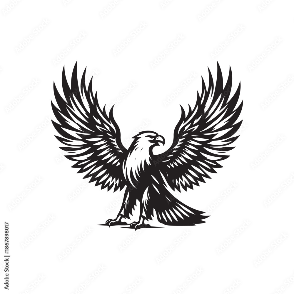 Obraz premium eagle with wings spread