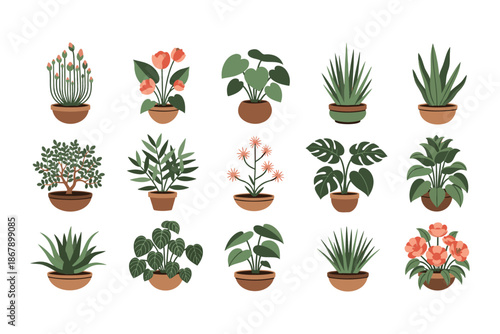 collection of various houseplants in pots for home decoration and gardening