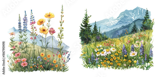alpine meadow with wildflowers watercolor vector illustration