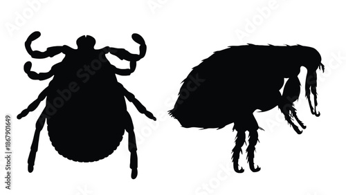 Silhouettes of ticks in different positions on white background