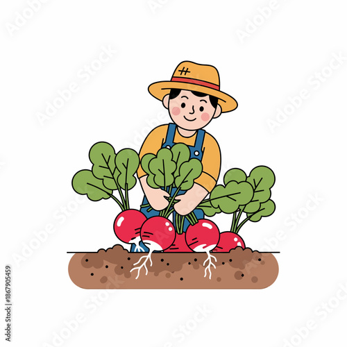 Farmer Holding Freshly Harvested Radishes.