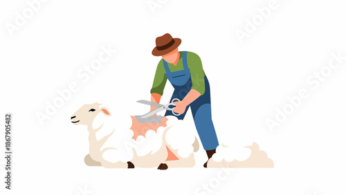 Farmer Shearing Sheep on Farm.