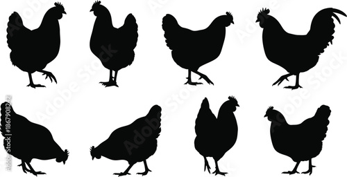 Black rooster and hen silhouettes collection on transparent background