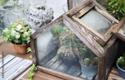 Rustic mini wooden greenhouse with cacti and succulents inside. Vintage weathered glass terrarium for home gardening and botanical decoration on a wooden table