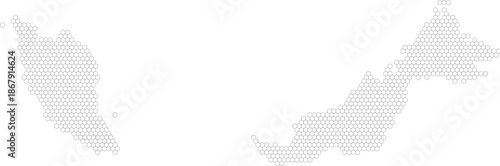 Malaysia – hexagonal grid vector map (Web Mercator projection, PPT-compatible & fully editable)