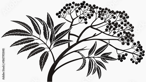 Herbal Medicine Tree Illustration with Cloves and Dark Berries for Natural Health Concepts