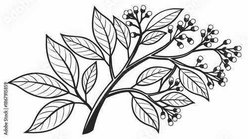 Vector Illustration of a Minimalist Spice Tree with Clove Buds and Dark Berry Clusters