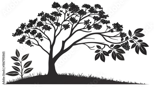 Little Tree Vector Graphic with Black Berries and Aromatic Clove Buds for Herbal Designs