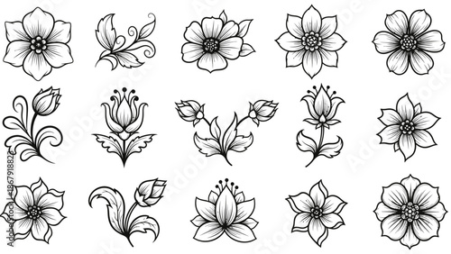 Collection of Hand Drawn Floral Illustrations.