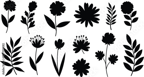 Variety of floral silhouettes and leafy elements on transparent background