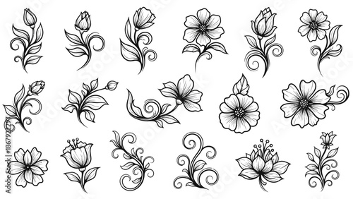 Collection of Hand Drawn Floral Designs.