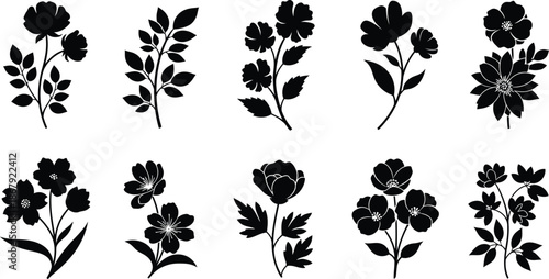 Elegant floral arrangement with various blooms and leaves on transparent background silhouette