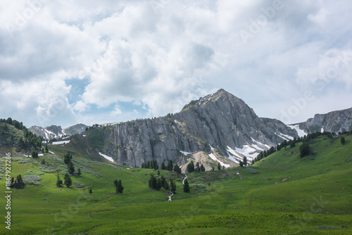 Grassy meadow and conifer trees on green hills against large rock wall under cloudy sky. Pure mountain creek flows from big sharp rocky ridge with sheer crags. High mountains in changeable weather.