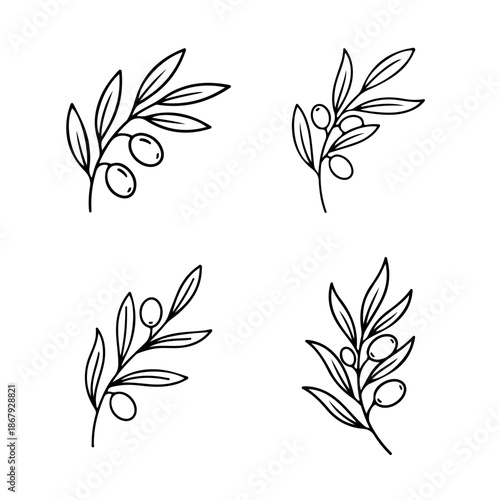 olive branch vector illustration, Botanical Line Art olive branches Set, The Olive Grove Sketches, Hand-Drawn olive branches Set