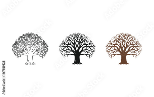 Three Stylized Trees in Black and Brown on White Background