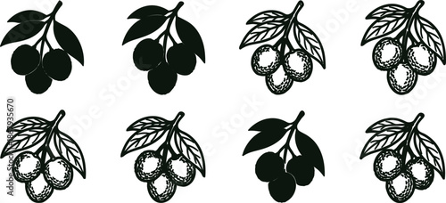Blackandwhite illustrations of various berrybrancheswithleaves on white background